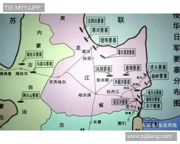 深入分析西安排球队的进攻策略与战术特点